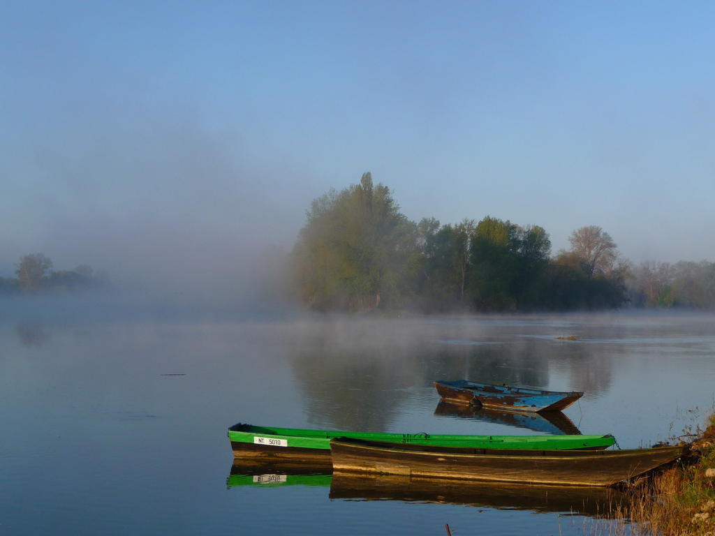 مبيت وإفطار Chouzé-sur-Loire Escale De Loire المظهر الخارجي الصورة