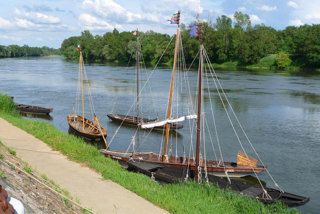 مبيت وإفطار Chouzé-sur-Loire Escale De Loire المظهر الخارجي الصورة