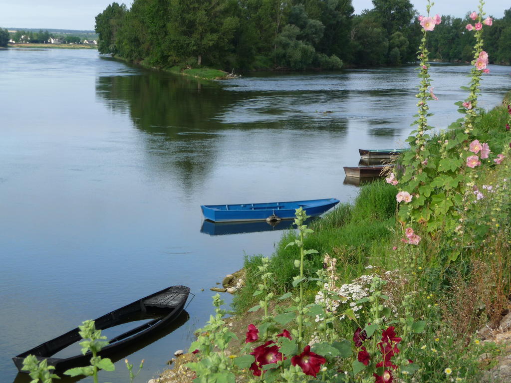 مبيت وإفطار Chouzé-sur-Loire Escale De Loire المظهر الخارجي الصورة